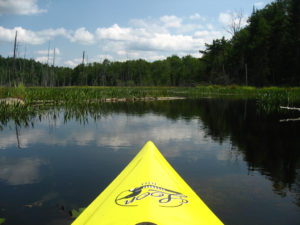 swamp kayaking